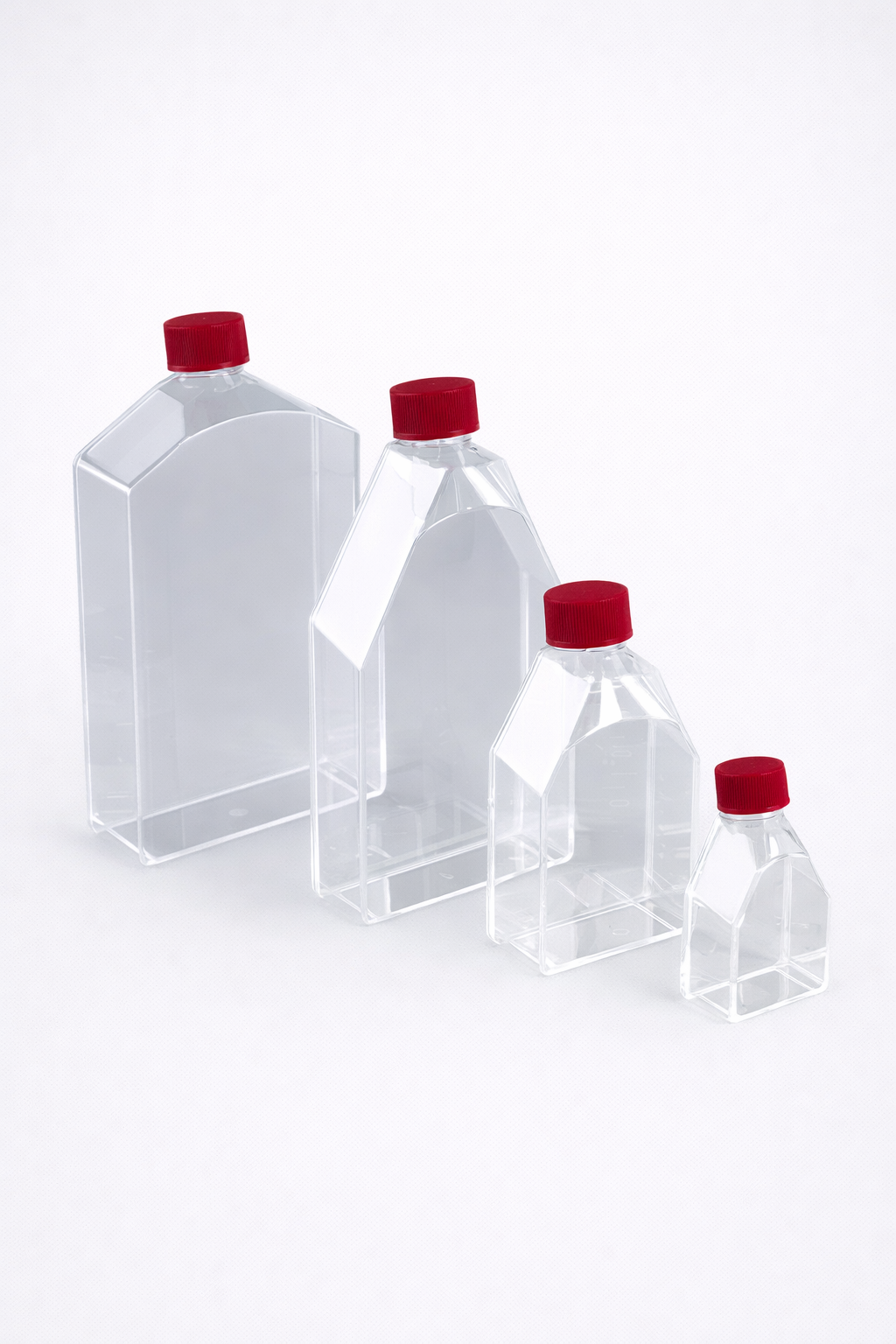 Cell Culture Flasks