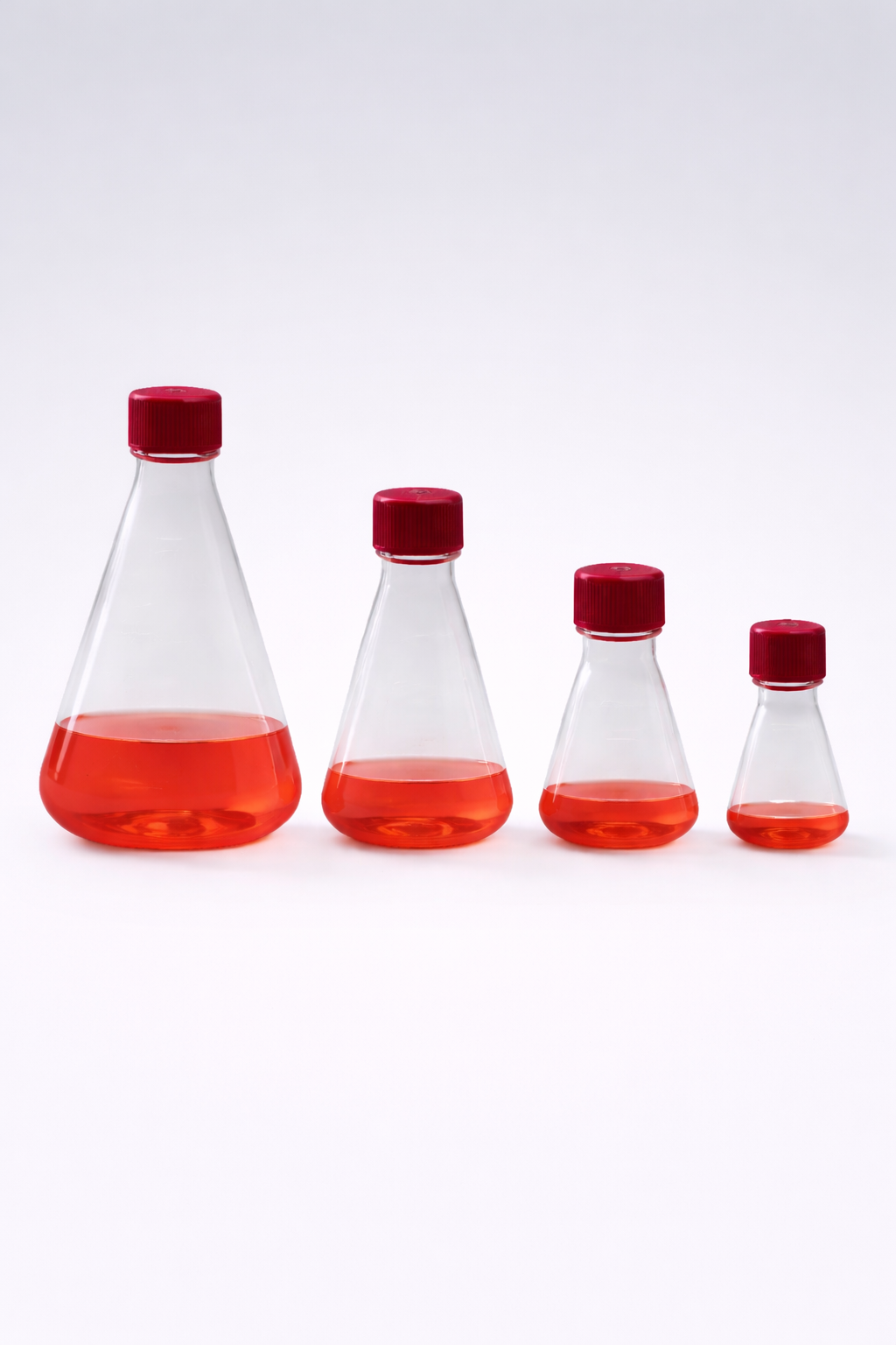 Erlenmeyer Flasks