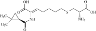 Cilastatin enantiomer