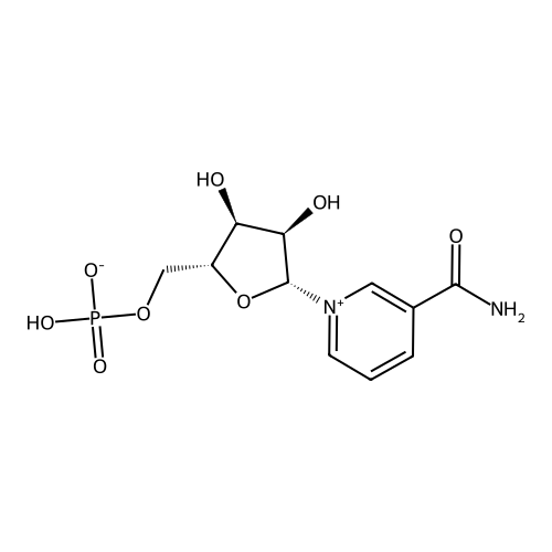 Nicotine Impurity 9