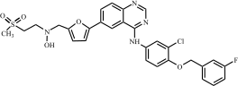 Lapatinib Impurity 22