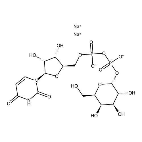 UDP-Galactose Disodium Salt