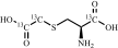 Carbocisteine-13C3