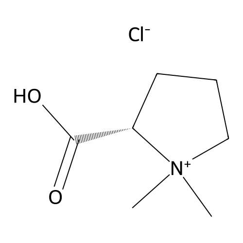 Stachydrine Hydrochloride