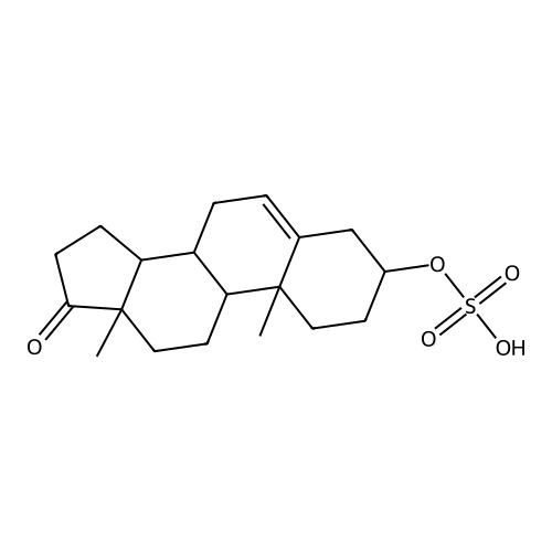 Dehydroepiandrosterone Sulfate
